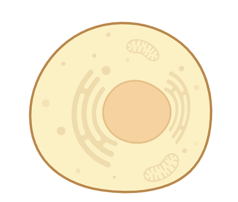 Proven cellular defense