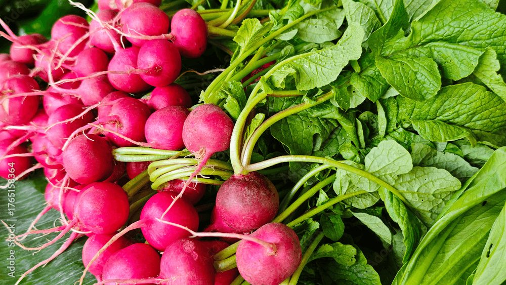 Leuconostoc/Radish Root Ferment Filtrate + Pentylene Glycol